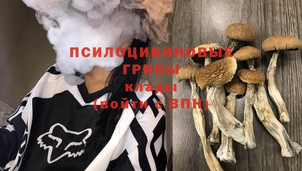 стаф Балабаново