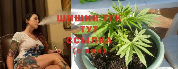 эйфоретик Заводоуковск