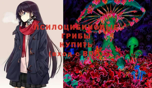 дмт Баксан