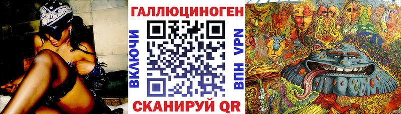 darknet формула  где найти   Ладушкин  Псилоцибиновые грибы прущие грибы 